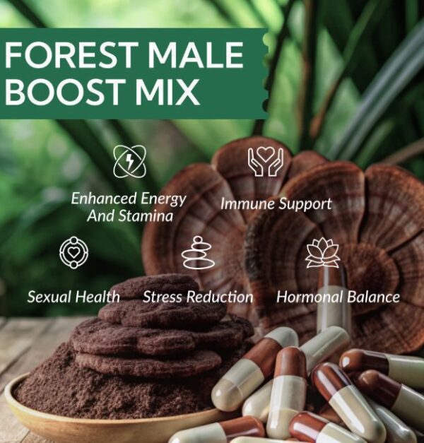 Forest Male Boost Mix – Bild 2