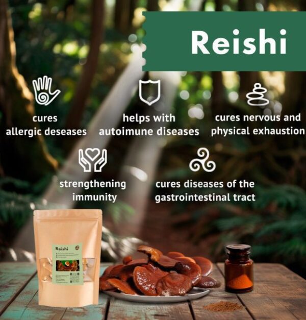 REISHI – Bild 2