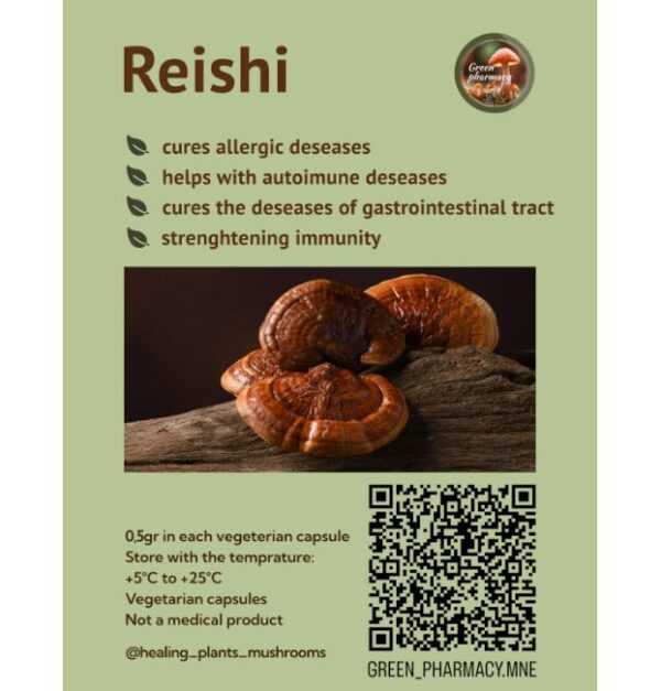 REISHI – Bild 3