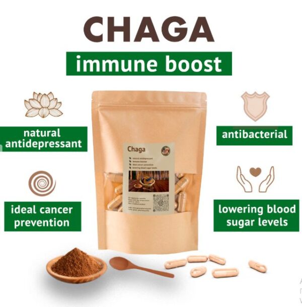 Chaga-Tee