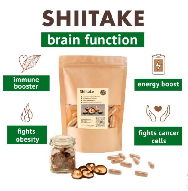 SHIITAKE – Bild 2