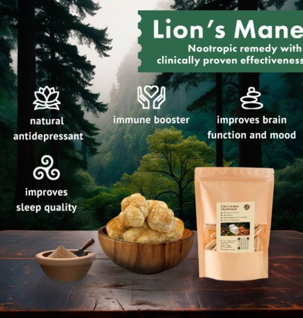 Lion’s Mane mushroom – Bild 2