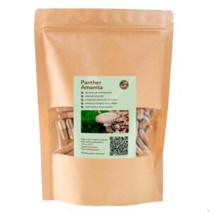 Panther Amanita