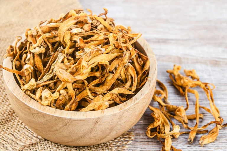 Польза Cordyceps (Кордицепса) для энергии, выносливости и физической активности