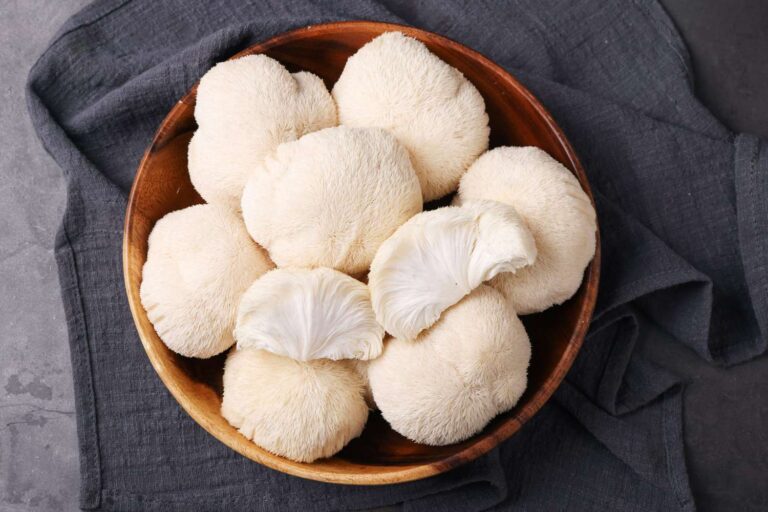 Польза Lion’s Mane (Ежовика гребенчатого) для мозга, памяти и концентрации